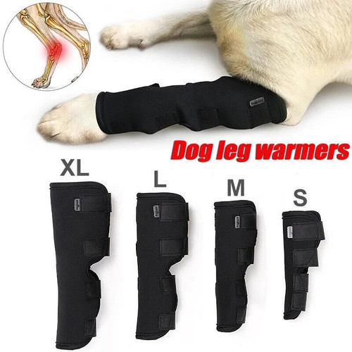 Pet dog leg brace - dog, elbow