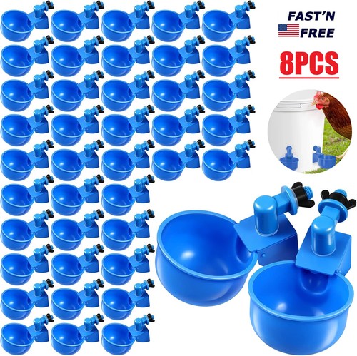 Automatic chicken water - chicken,