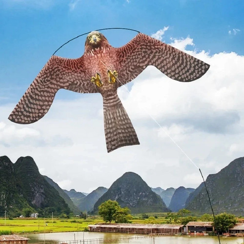 Laptony bird scarer flying - bird,