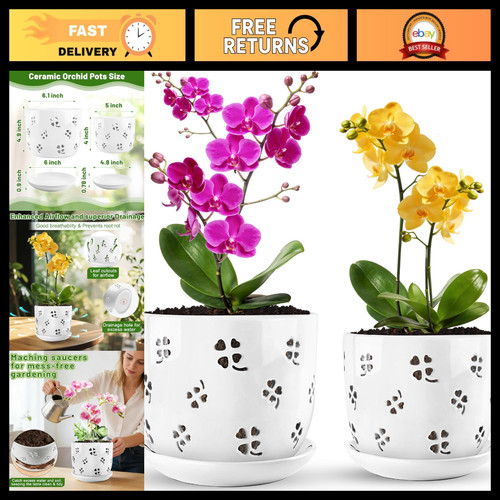 Ceramic orchid pots - 6",