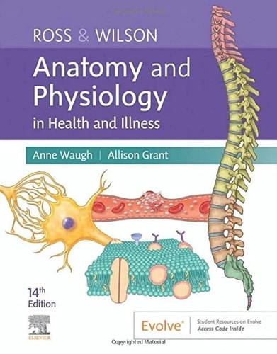 Ross wilson anatomy - (14th), &