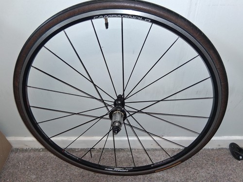Campagnolo nuetron rear - rear, wheel