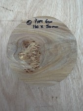 C) Pippy Elm Woodturning Bowl