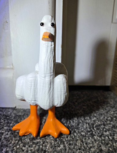 Handmade swearing duck