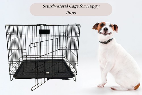 Dog cage puppy - dog, crate