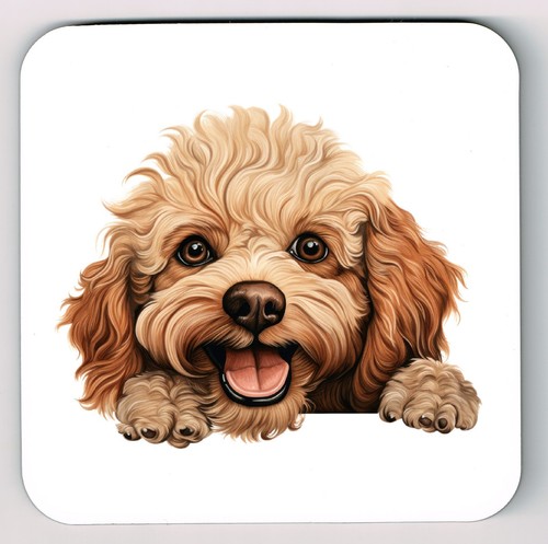 Peeking peeping toy poodle - toy,