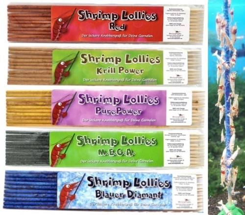Shrimp lollies rainbow - shrimp, /
