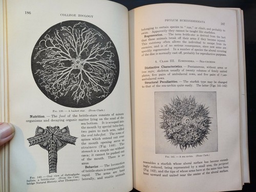 College zoology robert - zoology.,