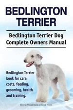 Bedlington Terrier. Bedlington