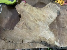 Sweet Chestnut Cookie Bowl