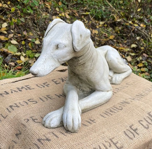 Whippet dog lying down statue