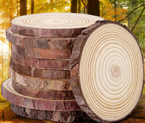 Unfinished wood slices - unfinished,