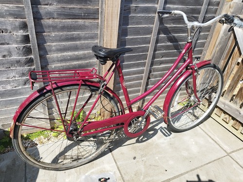 Raleigh cameo ladies - 'cameo',