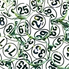 Professional Raffle/Bingo Ball