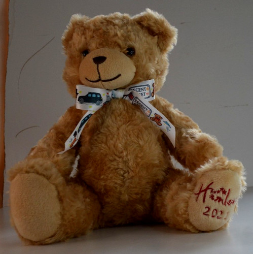 Hamleys 2021 teddy - teddy, bear