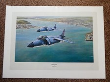 Sea Harrier Print by Robert