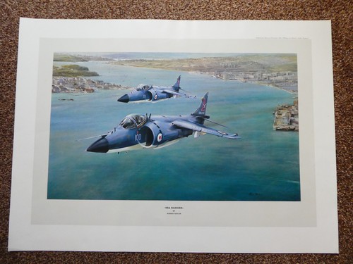 Sea harrier print robert - print, by