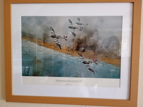 Robert taylor print johnnie - robert,