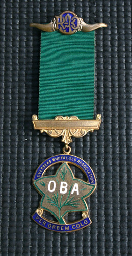Raob oba overseas buffaloes - oba,