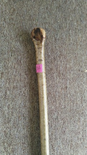 Irish hazel walking stick - irish,