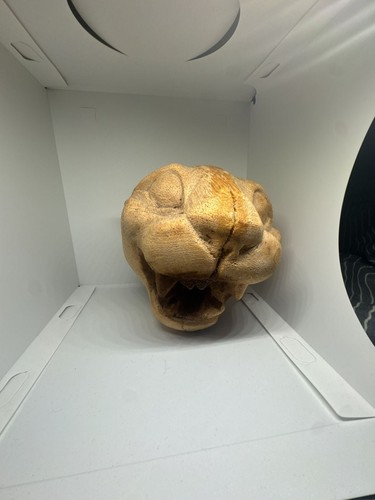 Hand carved wooden - carved, head