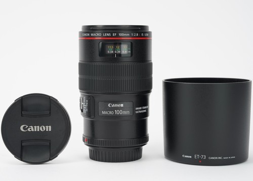 Canon 100mm 8l - f/2.8l, macro