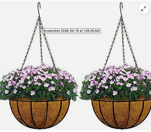 Wide hanging garden - hanging, basket