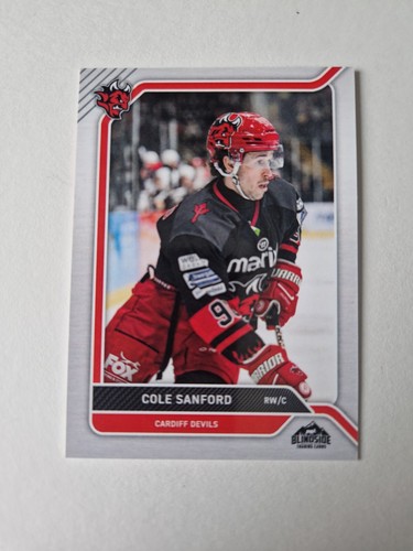 Cardiff devils blindside - cardiff,