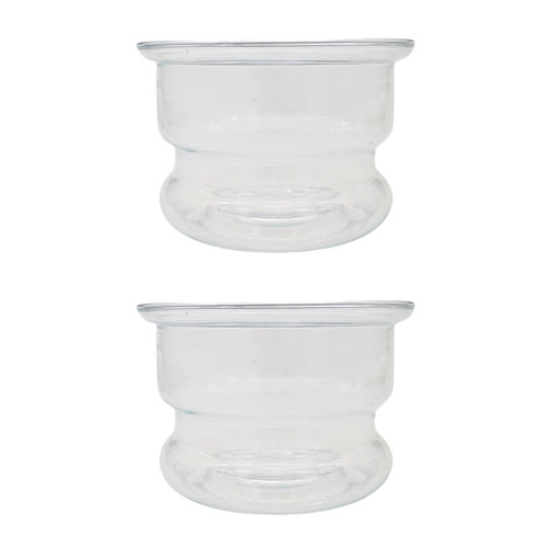Clear glass fish - 2,