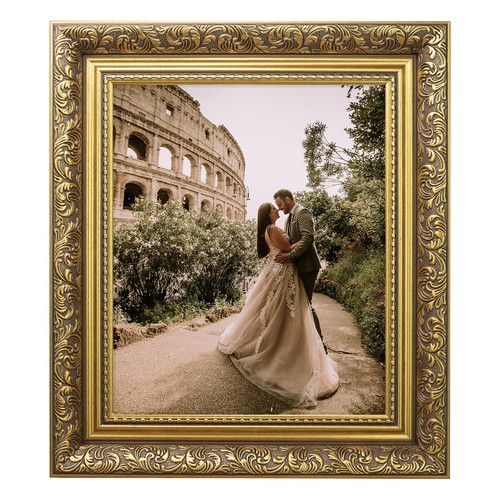 Ornate photo frame traditional - frame,