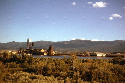 Susanville california fruit - susanville,