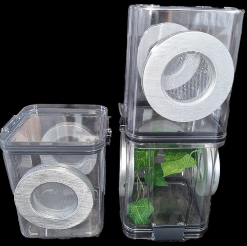 Flipable jumping spider - flipable,