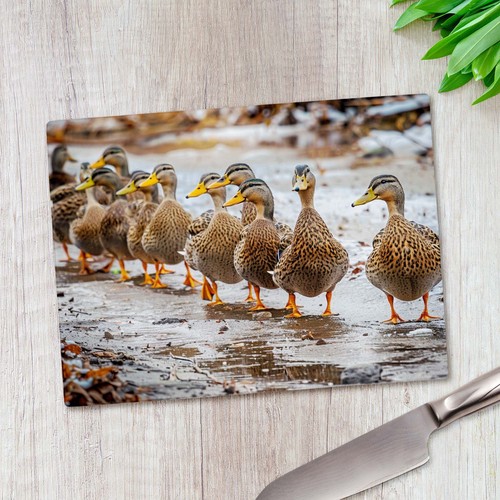 Group waddling ducks glass - of,