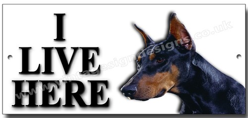 Doberman live here - doberman,