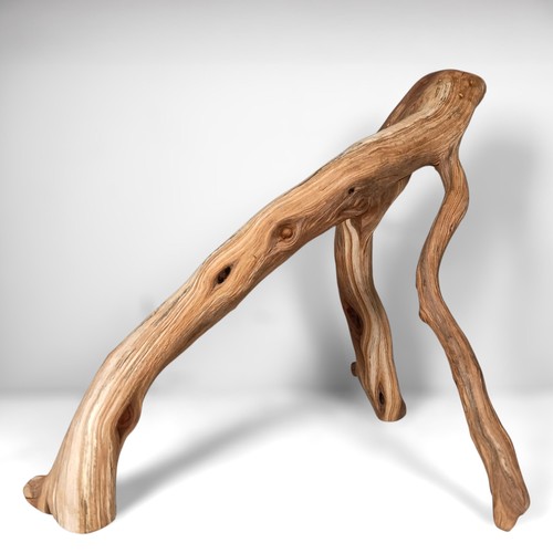 Manzanita aquarium - 19",