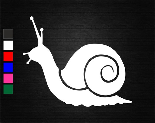 Snail nature vinyl - snail,
