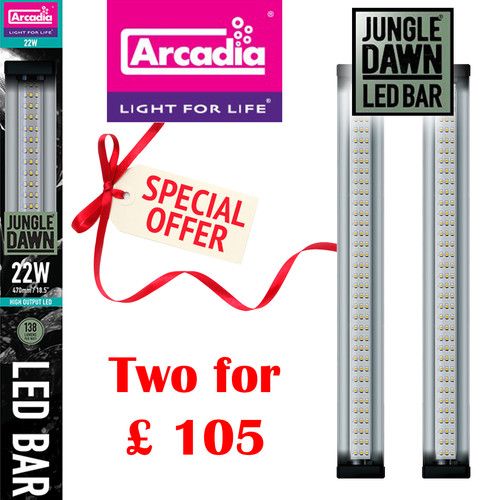 Arcadia jungle dawn led - 2x,