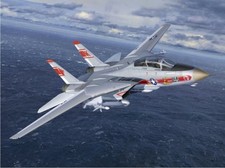 REVELL 1/144 GRUMMAN F-14A