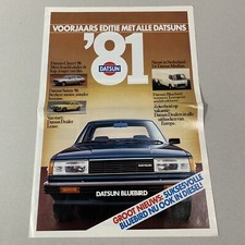 DATSUN 1981 / newspaper