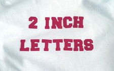 varsity college iron on heat t