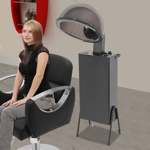 Standing hooded hair dryer - standing,