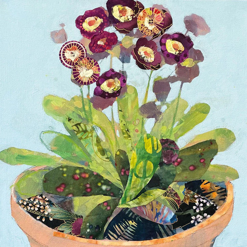 Primula fine art blank - primula,