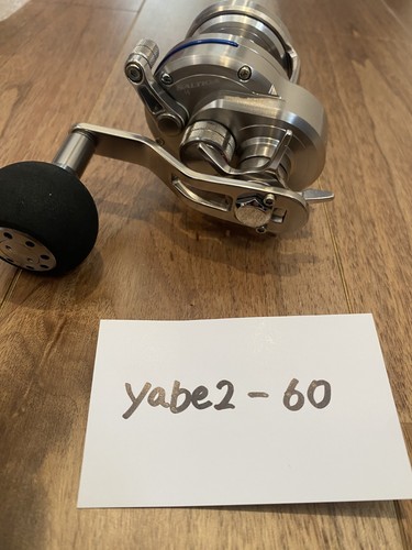 Daiwa saltiga japanese - 15,