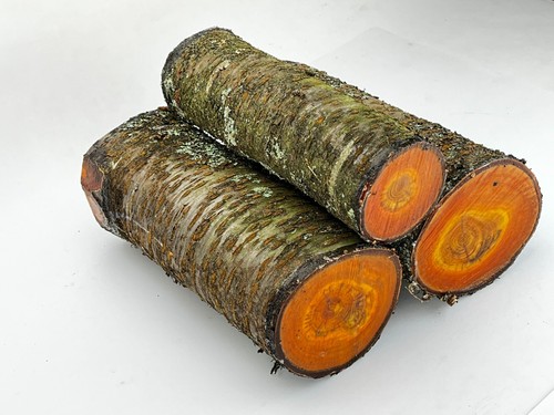Wild cherry wood log blank - wood,