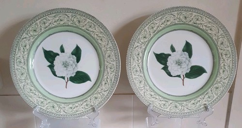 Royal horticultural - 2,