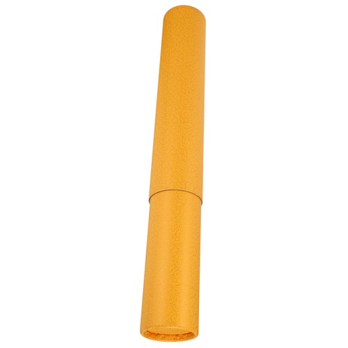 Poster transport tube - transport,