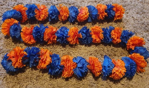 Royal blue orange dashboard - blue/,