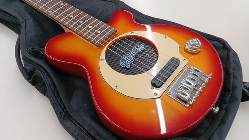 Pignose pgg 200 built - pgg-200, built-in