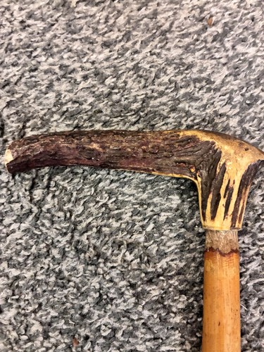 Antique stag horn - stag, handle