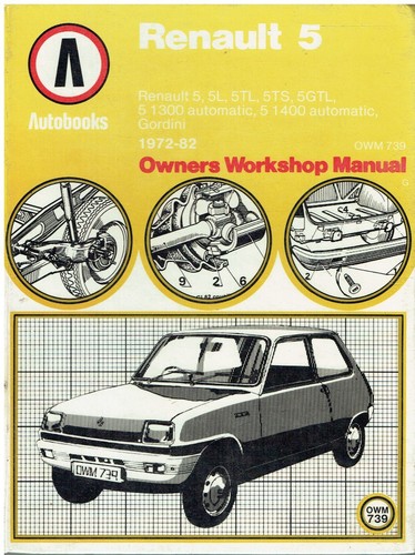 Renault mk1 95 - 5,